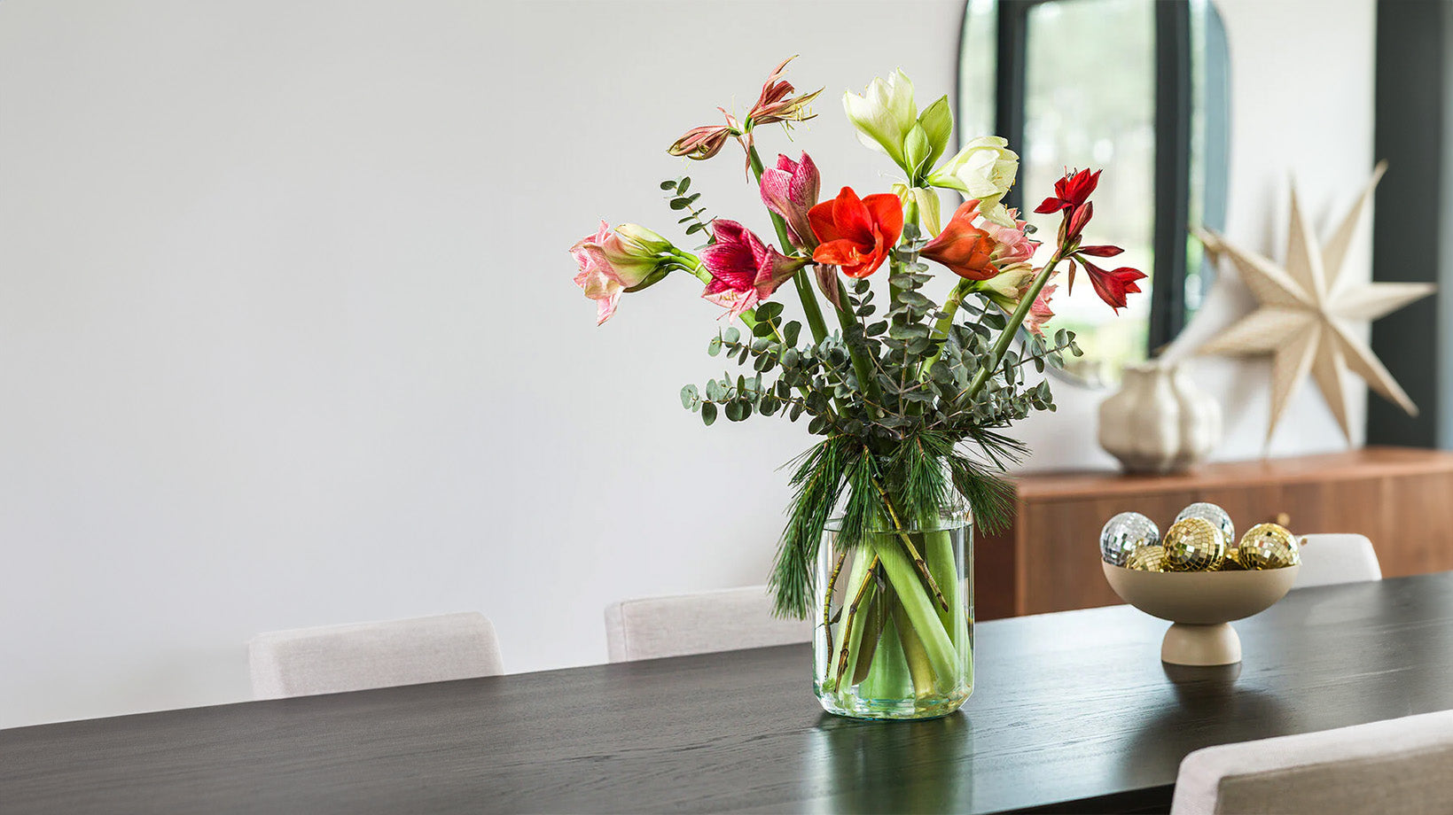 Amaryllis