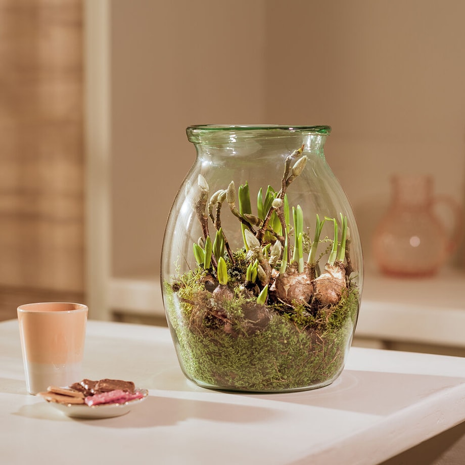 Ledebouk 12 Stück Mini Glasvasen, Kleine Glasvasen für Ledebouk 12 Stück Mini Glasvasen, Kleine Glasvasen für