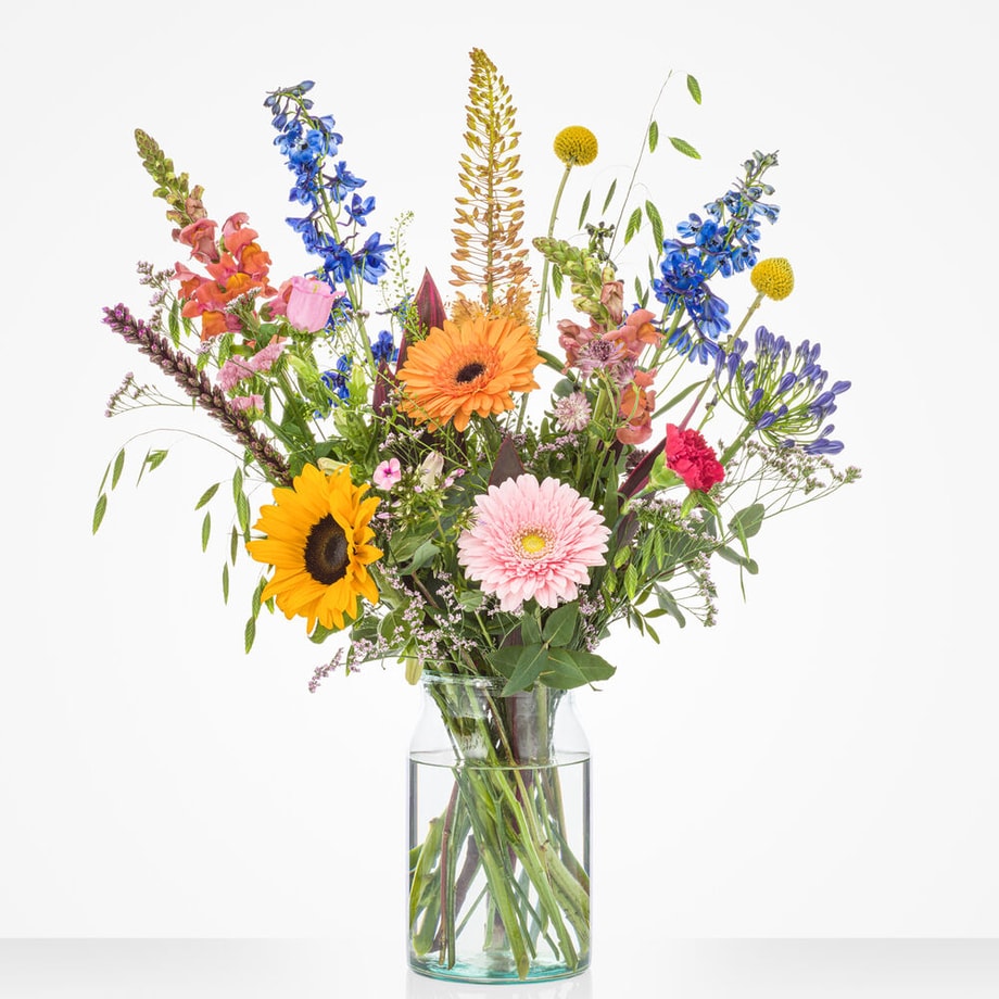 Middelgroot zomerboeket in een glazen vaas met zonnebloemen, gerbera's, roze anjers, blauwe ridderspoor en paarse agapanthus tegen een witte achtergrond.