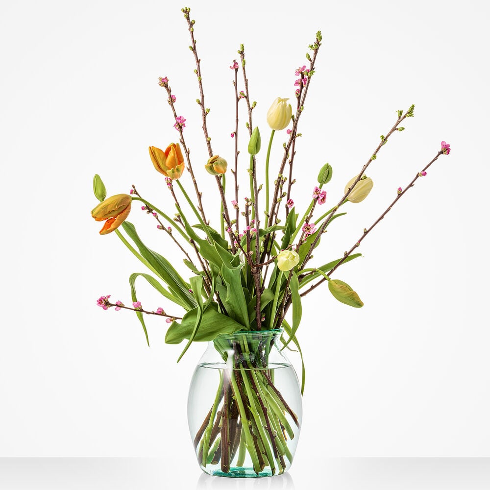 Franse tulpen verrassing