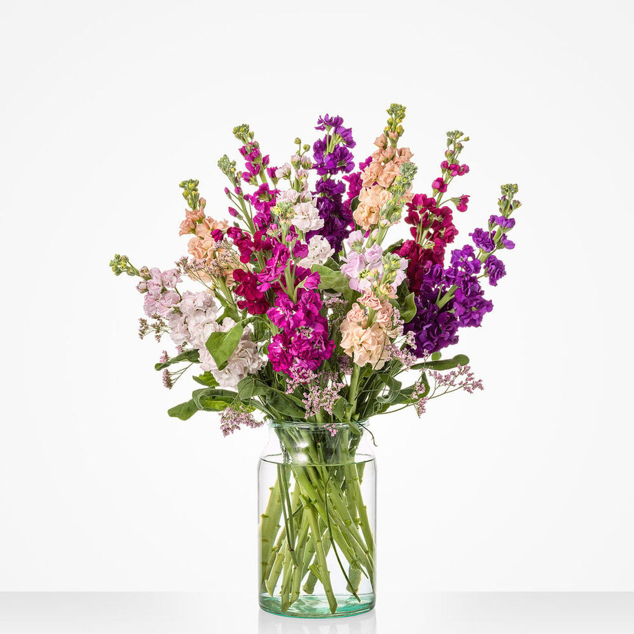 Groot boeket met paarse, roze, lila en zalmkleurige violieren in een glazen vaas