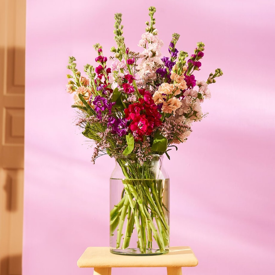 Boeket met paarse, roze en zalmkleurige violieren in glazen vaas, op een krukje met roze achtergrond