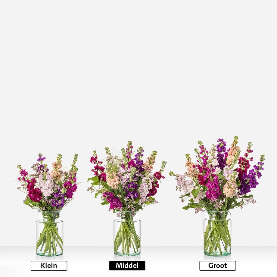 Drie formaten van het violieren boeket – klein, middel en groot – met paarse, roze en zalmkleurige bloemen in glazen vazen