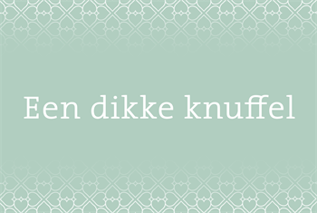 Een dikke knuffel neutraal