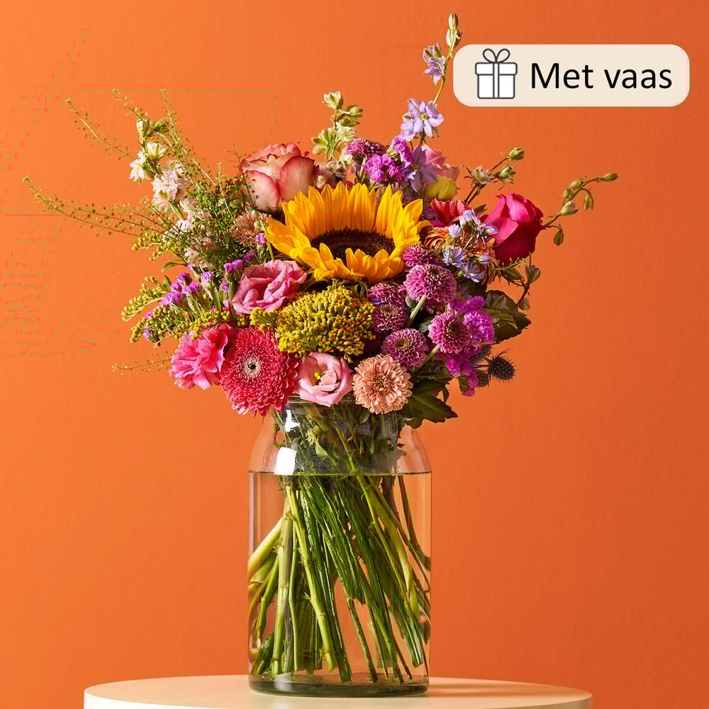 Cadeauset Vaasgeluk