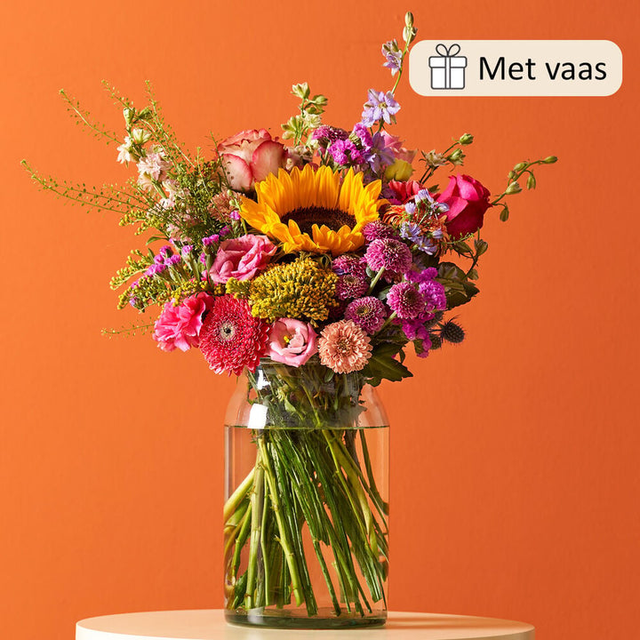 Cadeauset Vaasgeluk
